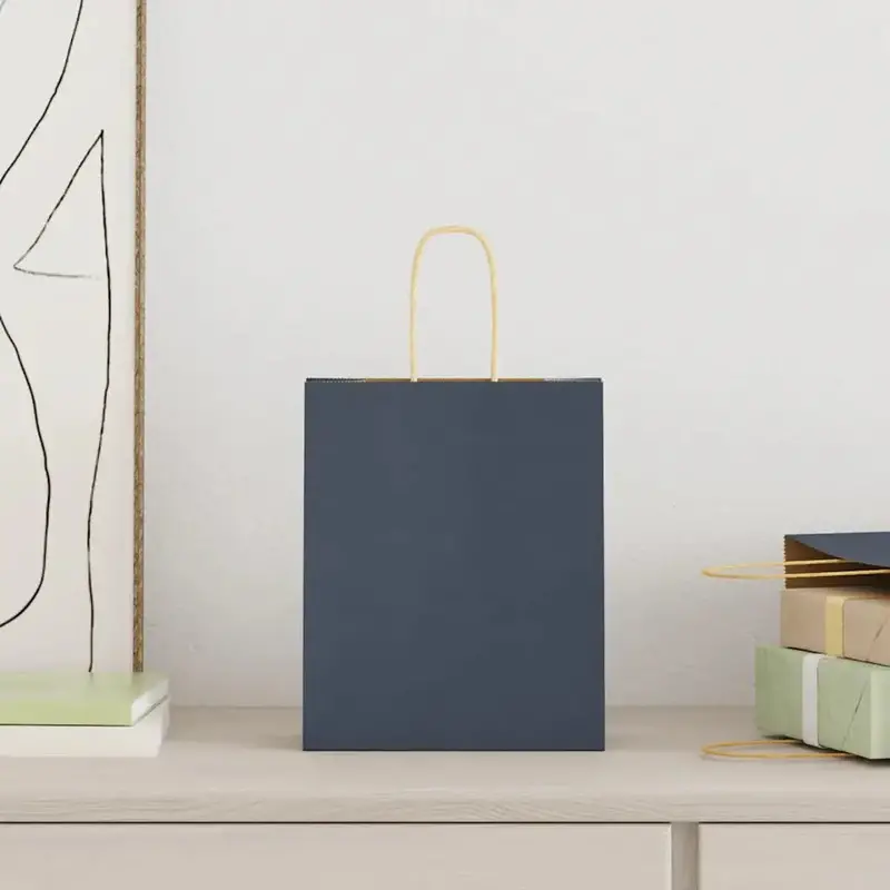 250 Blue Kraft Paper Gift Bags with Handles – 18x8x22cm, 100g/m² Recyclable Packaging by VIDAXL
