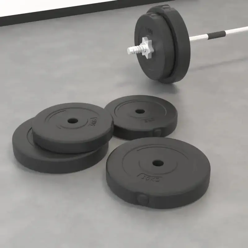 30kg Adjustable Weight Plate Set – Includes Four Plates (2×10kg + 2×5kg), Cement Core & Durable Plastic Coating | VIDAXL