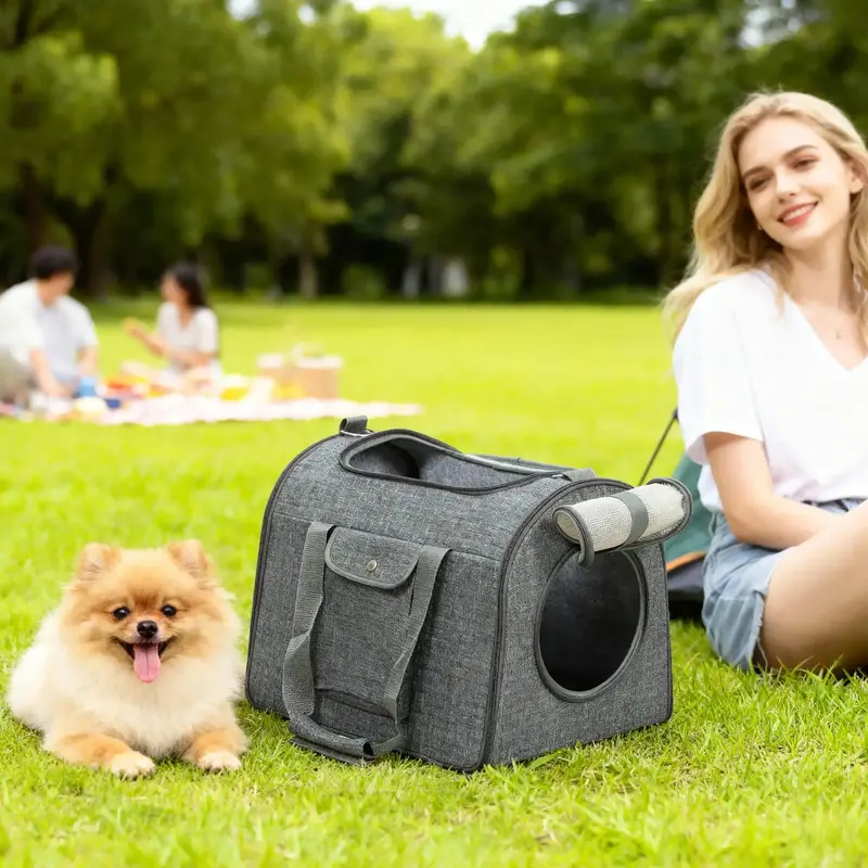 Airline-Approved Dark Grey Cat Carrier Bag with Breathable Mesh Panels for Safe Travel