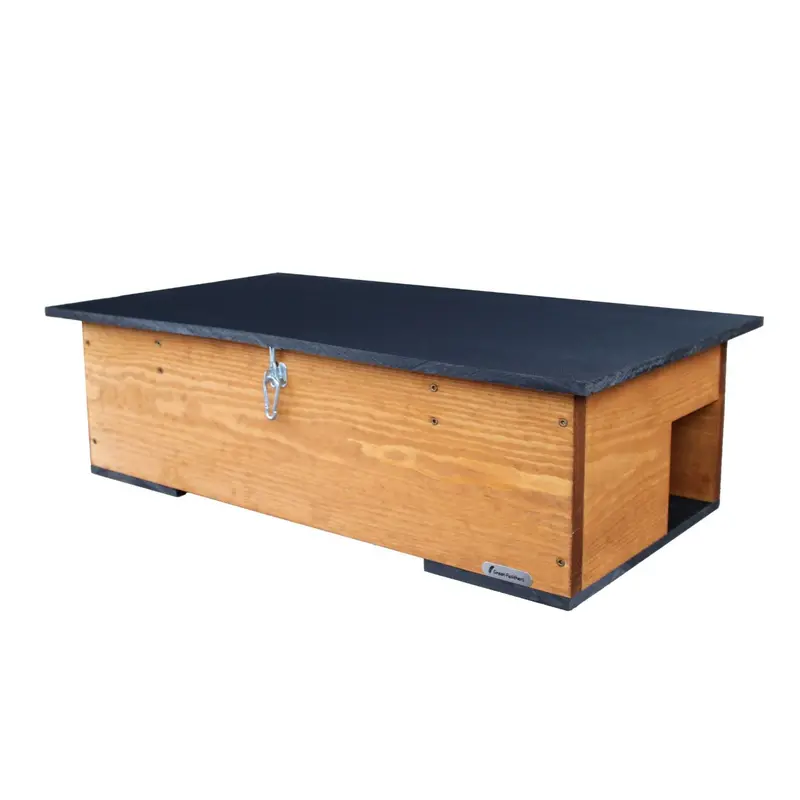 Crafted Wooden Hedgehog Feeding Station