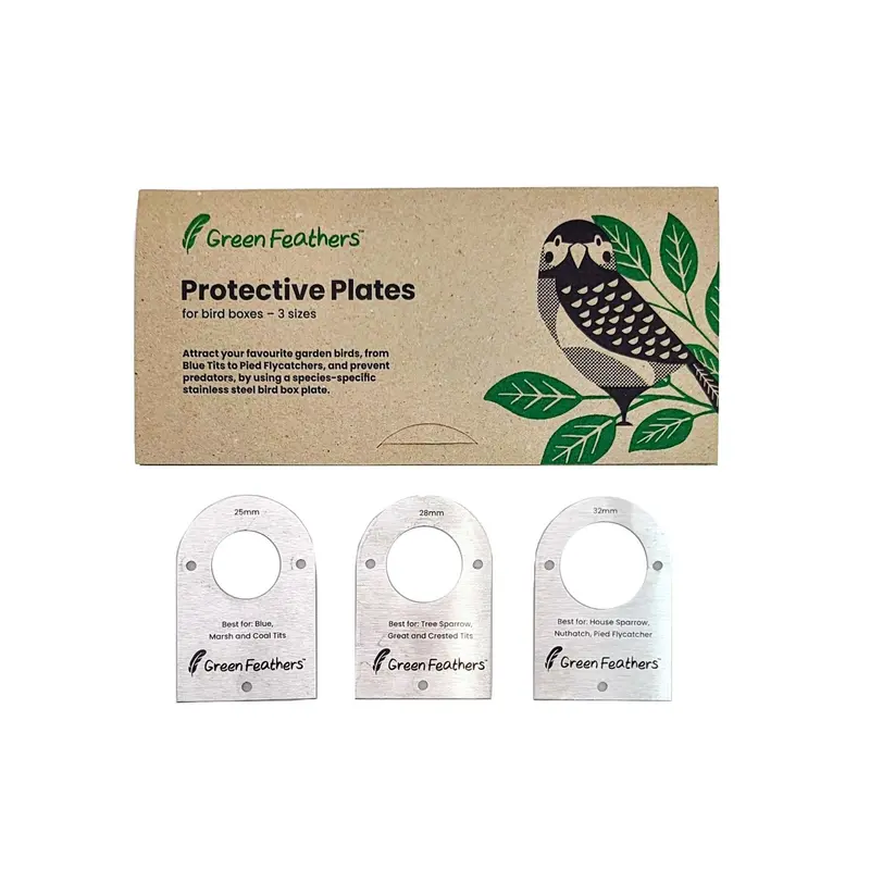 Green Feathers Stainless Steel Bird Box Cover Plates – Weatherproof Protection
