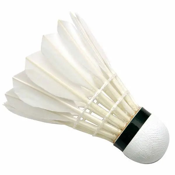 HART Tournament-Grade Feather Shuttlecocks