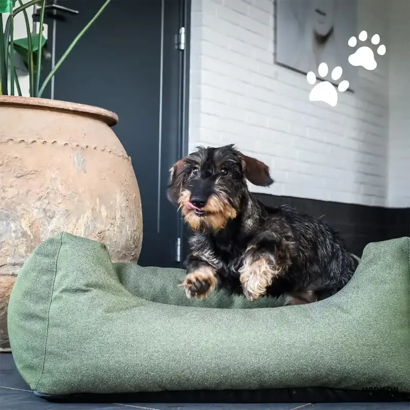 Manchester Outdoor Dog Bed with Waterproof Dralon Fabric Cushion & Washable Cover – MADISON
