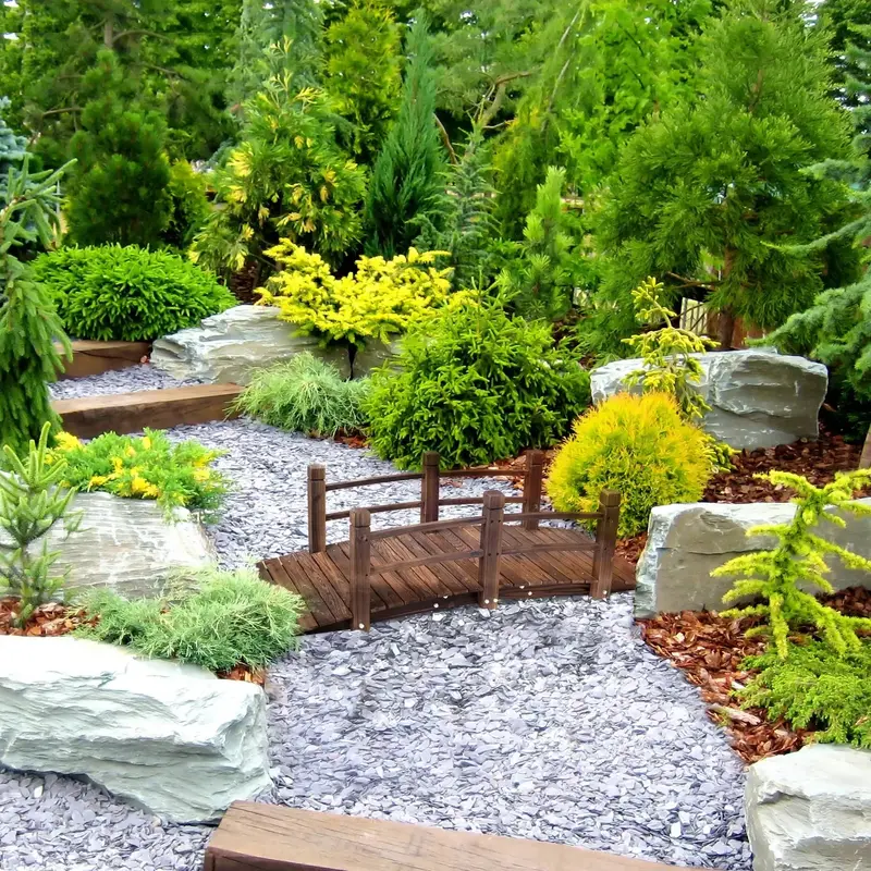 Natural Fir Wood Garden Bridge – 152.5 cm Arched Landscape Feature for Ponds or Pathways by OUTSUNNY