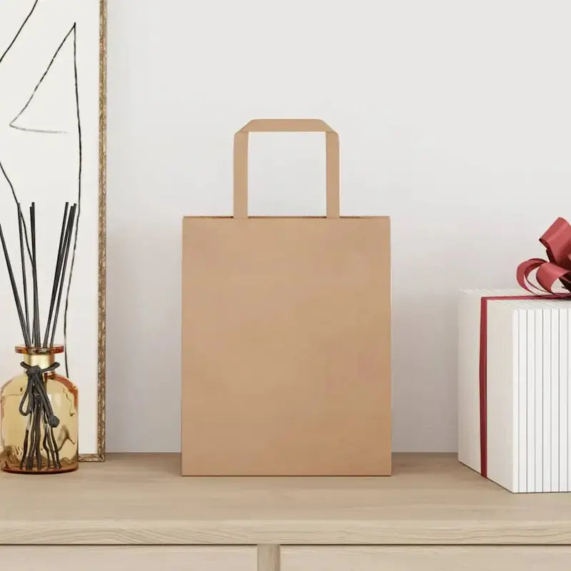 Pack of 50 Recyclable Kraft Paper Gift Bags with Handles (18 × 8 × 22 cm, 80 g/m²) – VIDAXL