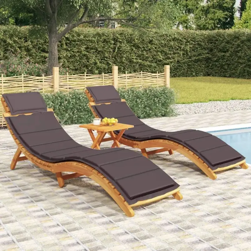 Two-Piece Acacia Wood Sun Lounger Set with Dark Grey Cushions